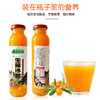 【快递包邮】宁化府生榨沙棘果汁300ml*8罐/箱 商品缩略图1