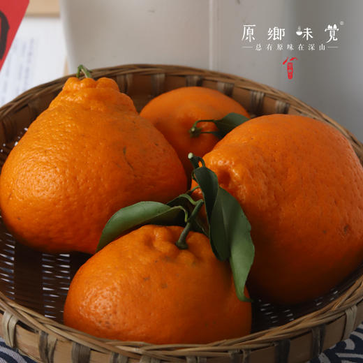 丹棱生态耙耙柑（基地直发-京东包邮）｜5斤/箱，来自四川眉山，生产者：刘德平【合作生产，公平贸易】 商品图3