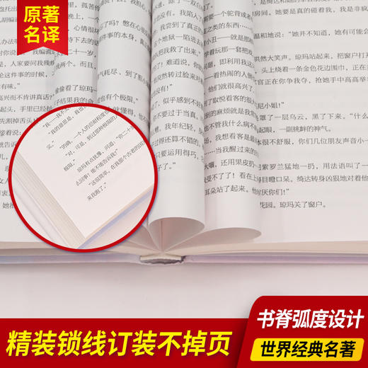 牛虻  精装全译本无删减 商品图2