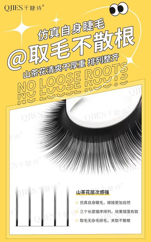 【秒杀价】山茶花0.05C不散根 商品图2