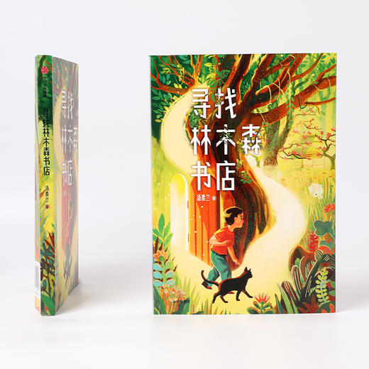 【官微推荐】寻找林木森书店 汤素兰著 限时4件85折 商品图3