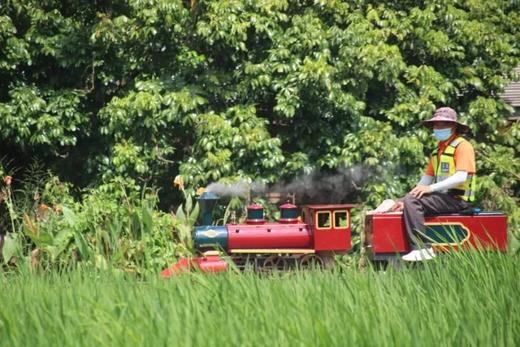 小学春游定制【春耕植树】逃离城市踏青去，蒸汽小火车、田园木舟、水上闯关 商品图0