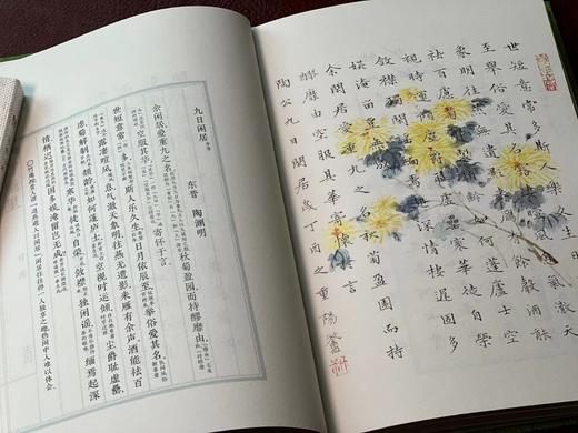 《竹庵里：诗词 小楷 花笺》，蒙中著，32开精装220页，附赠空白花笺32张（每种4张），北京联合出版公司2019年6月一版一印（印次）。定价98，售价49元。 商品图11