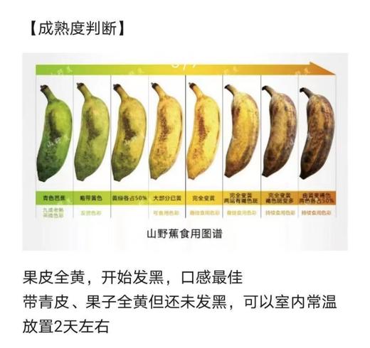 野生芭蕉五指山野生芭蕉4斤装 商品图1