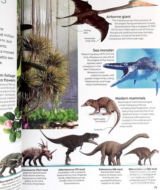 预售 【中商原版】Dinosaur Eyewitness系列 恐龙百科 英文原版 Dinosaur DK 商品图4