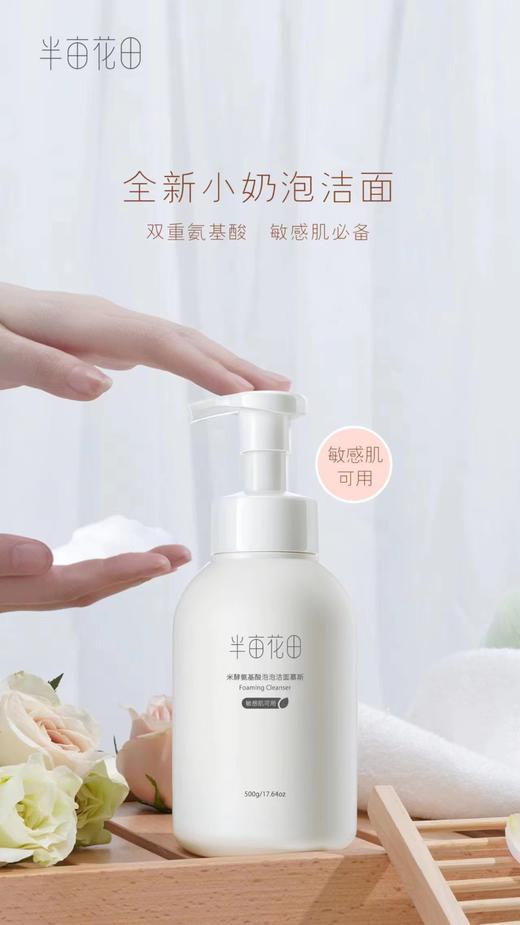 半亩花田米酵氨基酸泡泡洁面慕斯 商品图3
