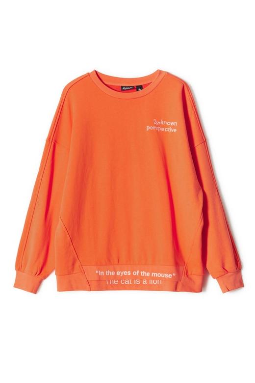 ONLY 橙色字母刺绣套头卫衣 8919 商品图4