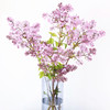 丁香花.紫色 商品缩略图1