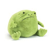 JellyCat 里奇雨蛙 (大码 25CM)JCACRR2F玩偶 商品缩略图0
