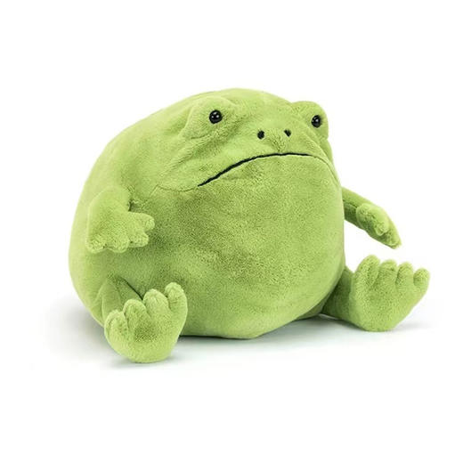 JellyCat 里奇雨蛙 (大码 25CM)JCACRR2F玩偶 商品图0