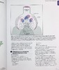 预售 【中商原版】Stahl's Essential Psychopharmacology 英文原版 Stahl精神药理学精要：神经科学基础和实践应用 Stephen M. Stahl 商品缩略图7