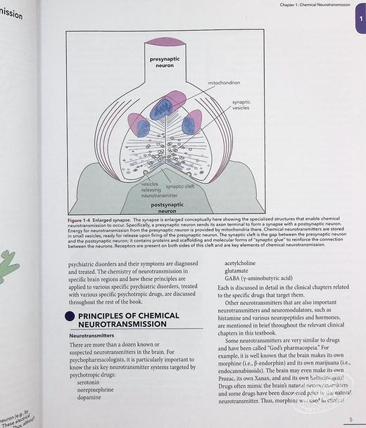 预售 【中商原版】Stahl's Essential Psychopharmacology 英文原版 Stahl精神药理学精要：神经科学基础和实践应用 Stephen M. Stahl 商品图7