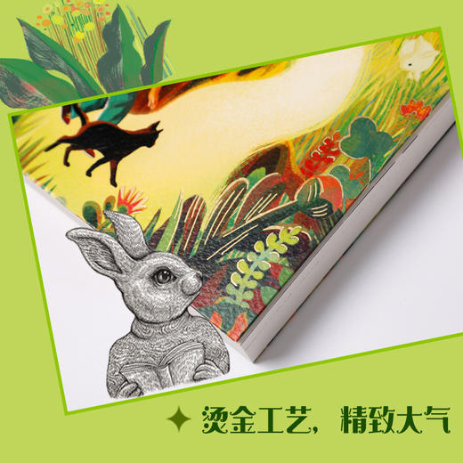 寻找林木森书店 商品图2