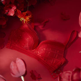 都市丽人内衣薄蕾丝三排扣无钢圈3/4杯常规文胸LB322A