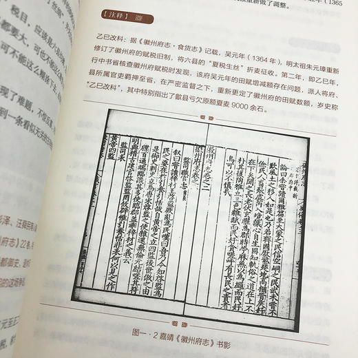 显微镜下的大明 商品图1