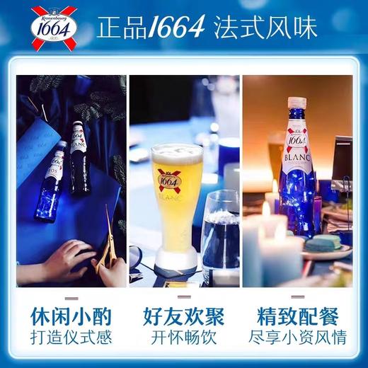 1664白啤酒 250ml*24瓶法国经典小麦啤酒【MJ】 商品图7