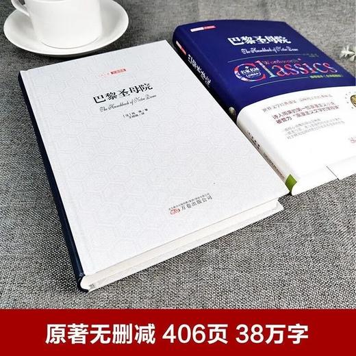 巴黎圣母院 维克多雨果原著无删减精装硬壳 商品图2