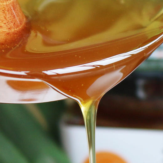 【万里山】土蜂蜜500g/瓶 商品图3