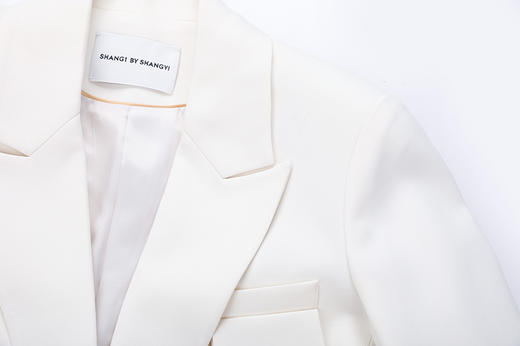 装饰胸兜直筒西服 商品图5