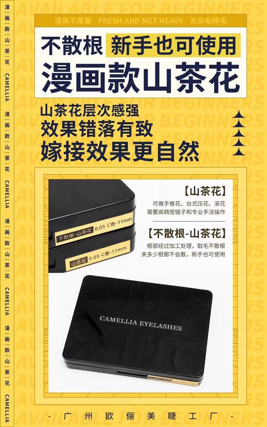 【秒杀价】山茶花0.05C不散根 商品图3