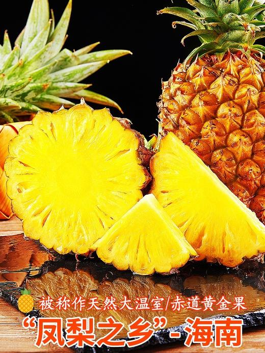 H  手撕凤梨 商品图0