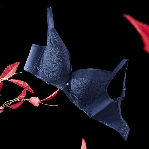 都市丽人内衣薄蕾丝四排扣无钢圈3/4杯常规文胸LB324A 商品图0