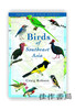 Birds of Southeast Asia / 东南亚的鸟 商品缩略图0