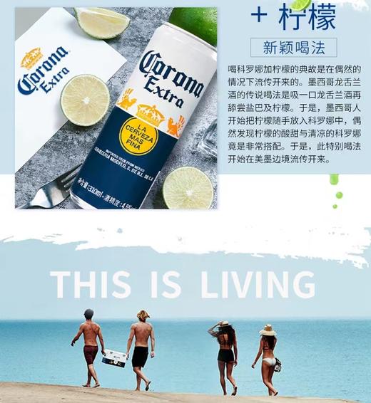 科罗娜特级啤酒310ml*24【MJ】 商品图1
