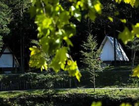 宁波中林无边森境帐篷营地