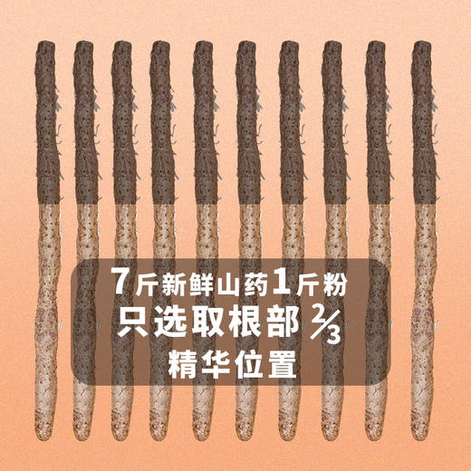 「铁棍山药粉」560克罐装 | 河南焦作温县垆土怀淮干粉儿童老人营养健康早餐代餐 | 阳阴虚养生 | 元和好物迷罗亲研 商品图2