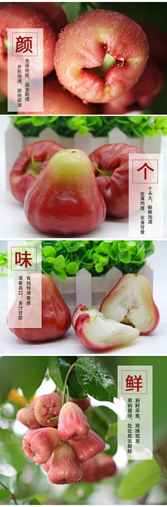 ️⚠️23号上午10点下架⚠️⚠️海南三亚 · 牛奶莲雾