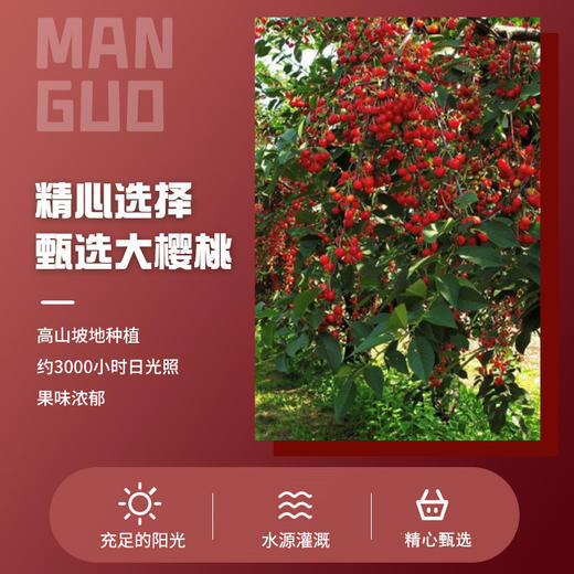 【食品酒水】好艺点休闲网红果蔬食品蜜饯水果干樱桃干 商品图1