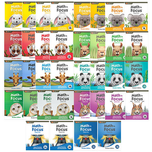 【中商原版】Math in Focus Grade 8 Course 3B 焦点数学 八年级下册套装 学生书+课外练习作业本 英文原版 美国HMH教材 小学新加坡数学 商品图0