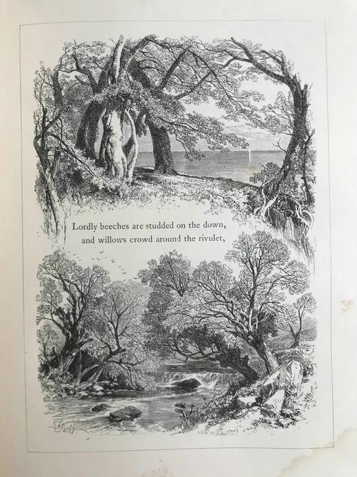 含藏书票特装本！约19世纪后期 塔珀《格言哲学》 约60幅插图 全真皮精装18开 商品图14