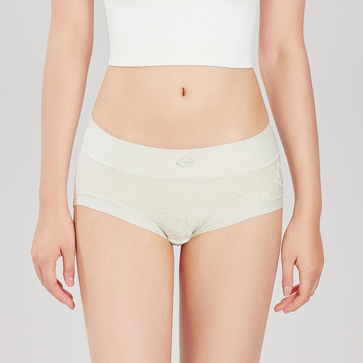 都市丽人功能系列莫代尔三角裤女士内裤孕哺可穿低腰三角裤LK37A1 商品图1