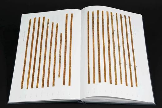 重点推荐！！《天回医简》（上下），特种布面精装带函套，天回医简整理组编著，文物出版社2022年一版二印，定价1980元，限价售价:1485元。 商品图7