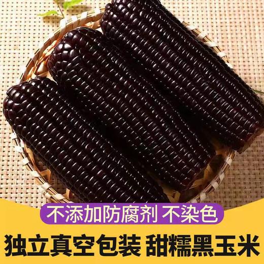 HEB东北黑色粘玉米10棒/箱 商品图4