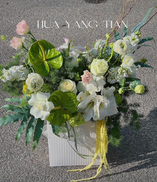 春绽芳华 · 花盒 商品图1