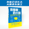 《青春期的大脑：10多岁的孩子是怎么想的？》抓住ZUI后一次大脑重塑期，帮孩子打造强健大脑。 商品缩略图0