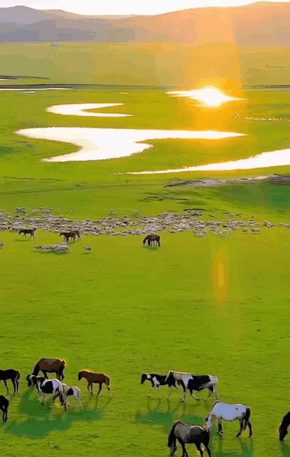 7天6晚【亲子夏令营】呼伦贝尔轻奢亲子营，私家牧场野奢露营，敖鲁古雅撸驯鹿，马背自由驰骋，原始森林轻徒步，与自然对话！ 商品图0