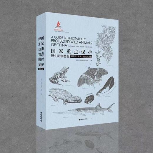 【48小时发货】《guo家重点保护野生动物图鉴》一套三册 鸟兽爬行两栖鱼昆虫 海峡书局 CWCA 官方正版 商品图3