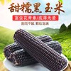 HEB东北黑色粘玉米10棒/箱 商品缩略图0