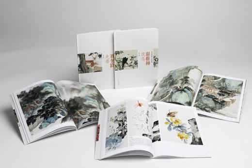 新书！朵云真赏苑·名画抉微|谢稚柳花鸟+江寒汀花鸟+吴湖帆山水+张大千山水+刘奎龄走兽 商品图1