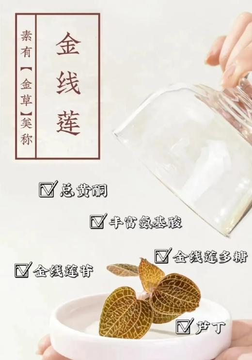 添合泰金线莲 商品图1