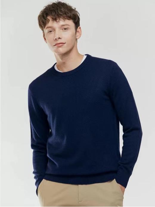 【1.3折!银泰撤柜!】意大利TONISH男士羊毛圆领套头衫X701 商品图0