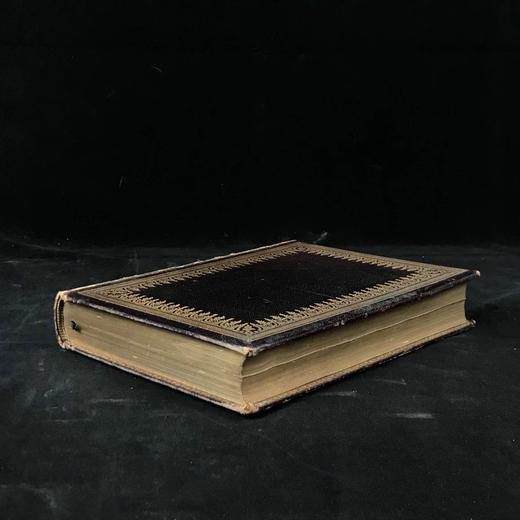 含藏书票特装本！约19世纪后期 塔珀《格言哲学》 约60幅插图 全真皮精装18开 商品图2