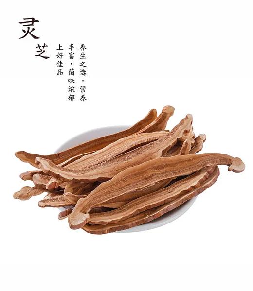 添合泰灵芝片 商品图0