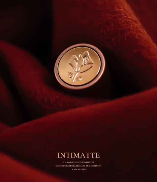 兰蔻小蛮腰粉金 299 羊绒焦糖色 商品图3