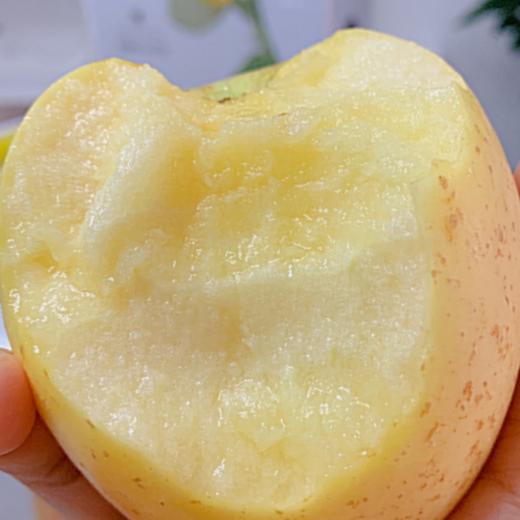 维纳斯金苹果 约1000g/份 商品图2