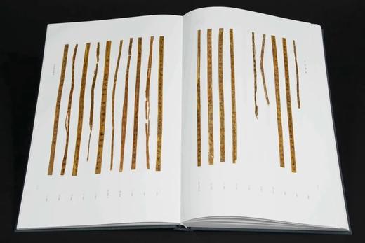 重点推荐！！《天回医简》（上下），特种布面精装带函套，天回医简整理组编著，文物出版社2022年一版二印，定价1980元，限价售价:1485元。 商品图3